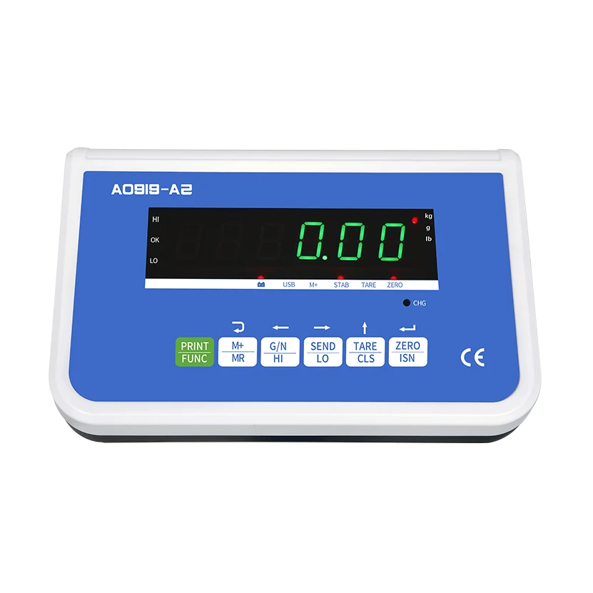 Digital Electronic Weighing Instrument