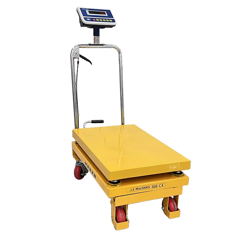Plataforma Elektronikoa altxatzea